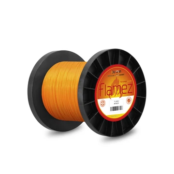 Delphin FLAMEZ