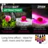 Kép 4/4 - ZFISH Bait Attractant Chilli-Robin Red 60ml - chili-robin red aroma 60 ml
