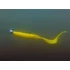 Kép 7/7 - Grub-tartóval ellátott Delphin TYRE jigfej / 5 db