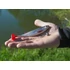 Kép 3/13 - Műcsali Delphin Realix 3D / 2 db