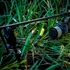 Kép 3/3 - Carp Academy Flexi Pro Carp Hanger