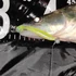 Kép 3/3 - Reiva Zander Power Shad 12,5cm 3db/cs