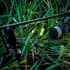 Kép 4/5 - Carp Academy Flexi Pro Carp Hanger 3db/cs